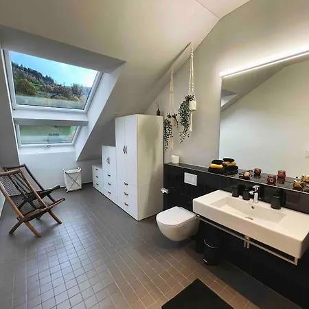 Stilvolles Loft Mit Naturpool *