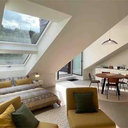 Stilvolles Loft Mit Naturpool * Mels