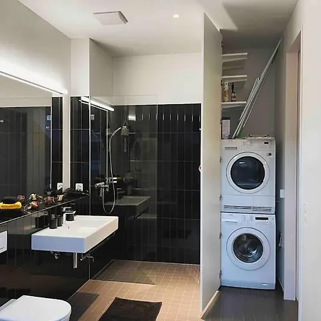 Stilvolles Loft Mit Naturpool