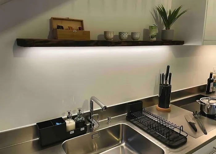 Stilvolles Loft Mit Naturpool Appartement