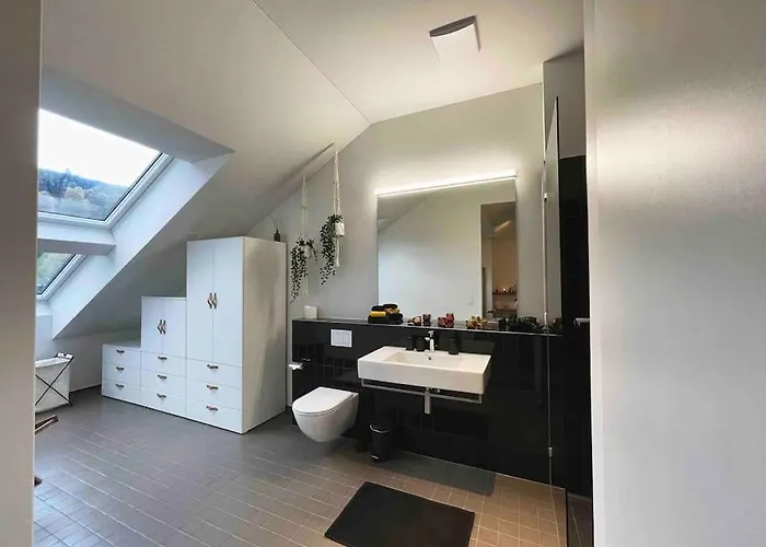 Stilvolles Loft Mit Naturpool Appartement Mels