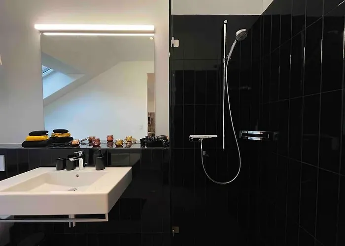 Stilvolles Loft Mit Naturpool Appartement Mels