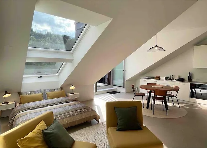 Stilvolles Loft Mit Naturpool * Mels