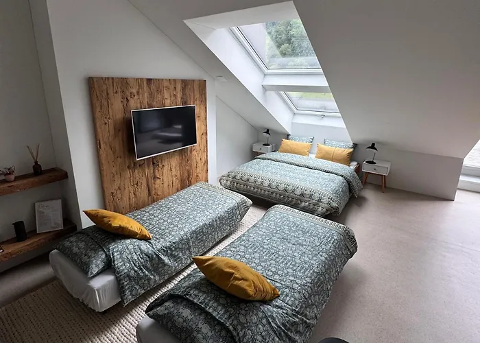 Stilvolles Loft Mit Naturpool Mels