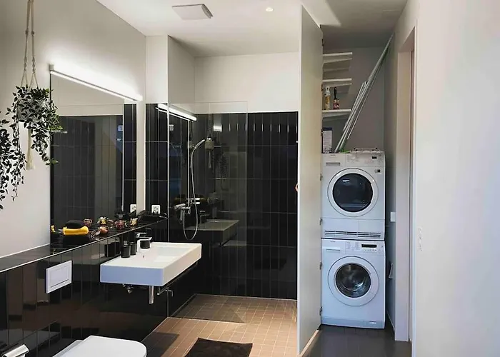 Stilvolles Loft Mit Naturpool